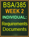 bsa/385 requirements document